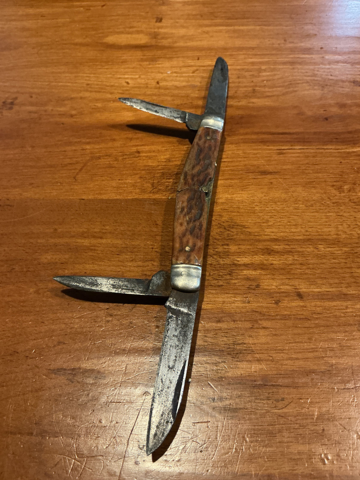 Early Folding pocket Knife Bone Handle 4 Blades