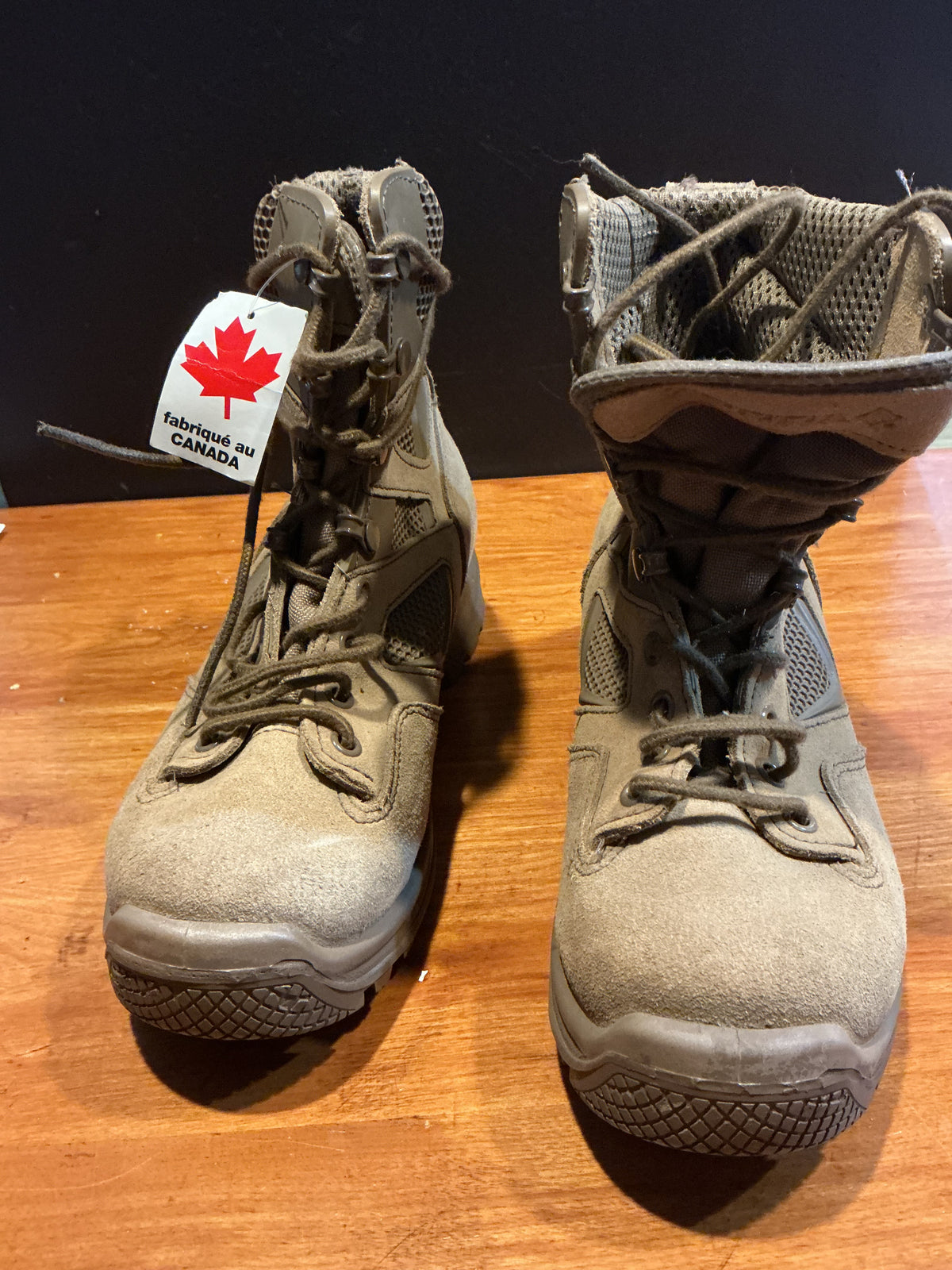 Terra ;Canadian Temperate Combat and Land Operation Boots Size 6.5