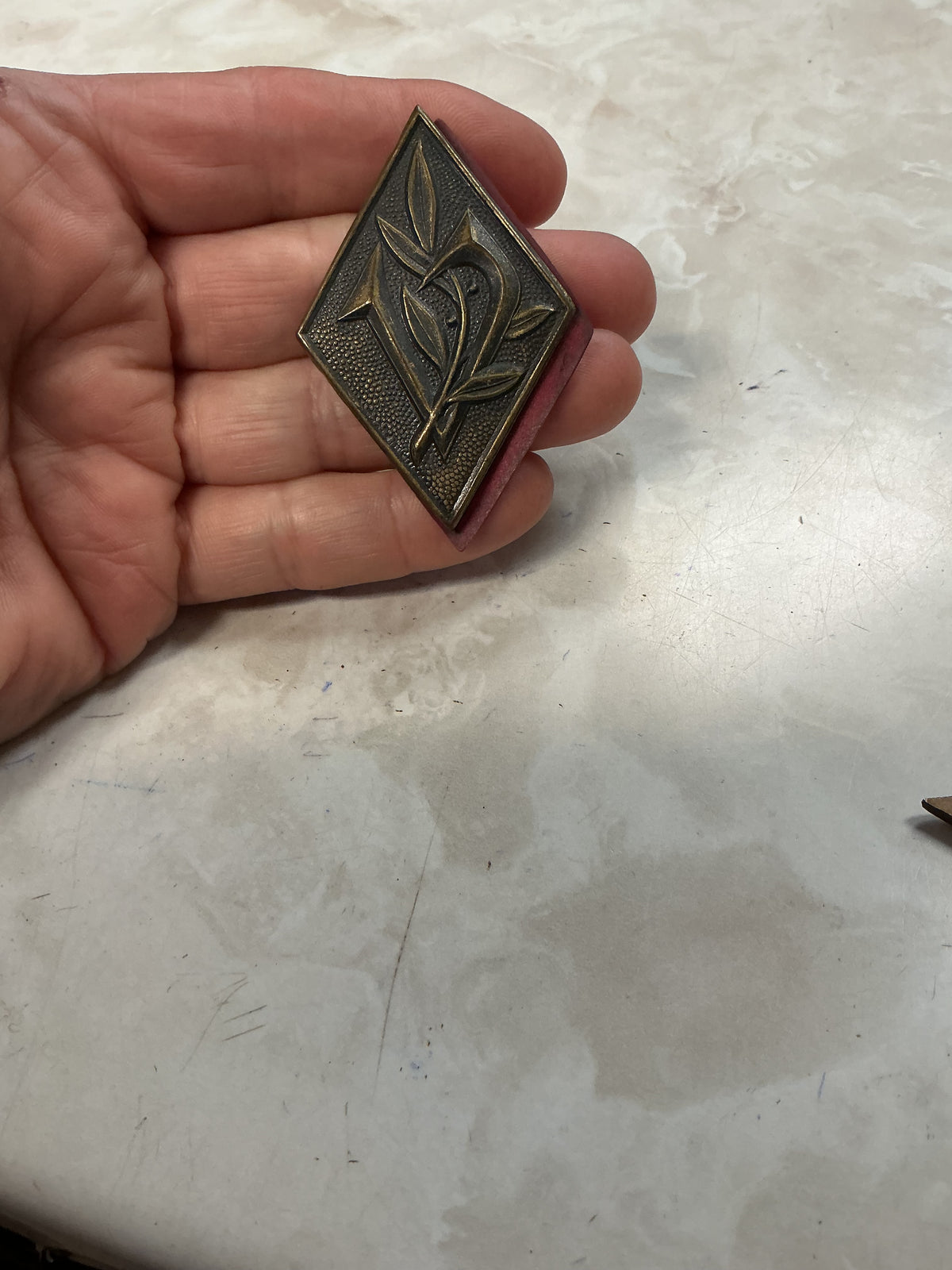 Idf Israeli Army Recruit Training Corps Pin/ Badge For Beret