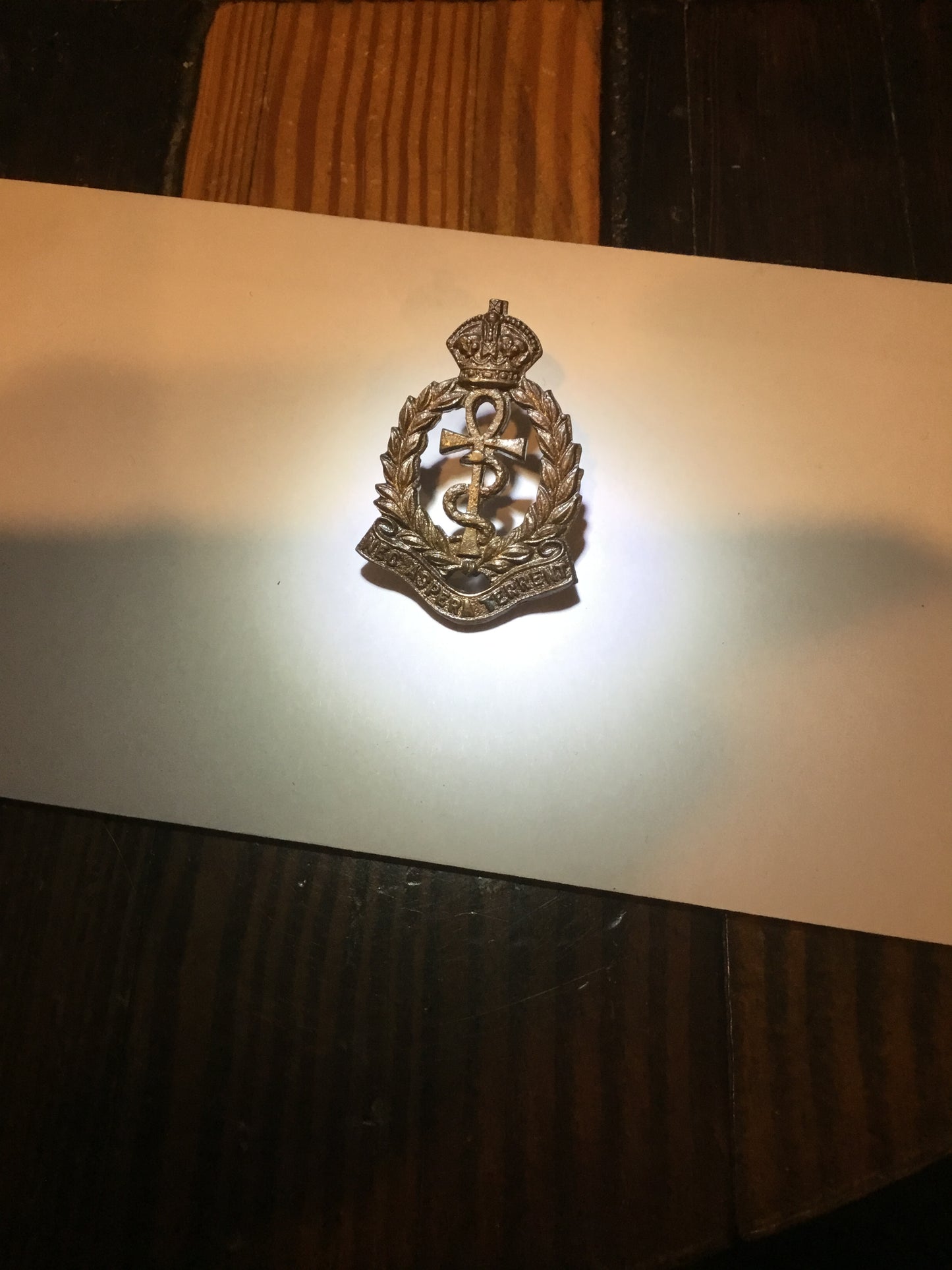 British vintage Royal Air Force medical branch cap badge