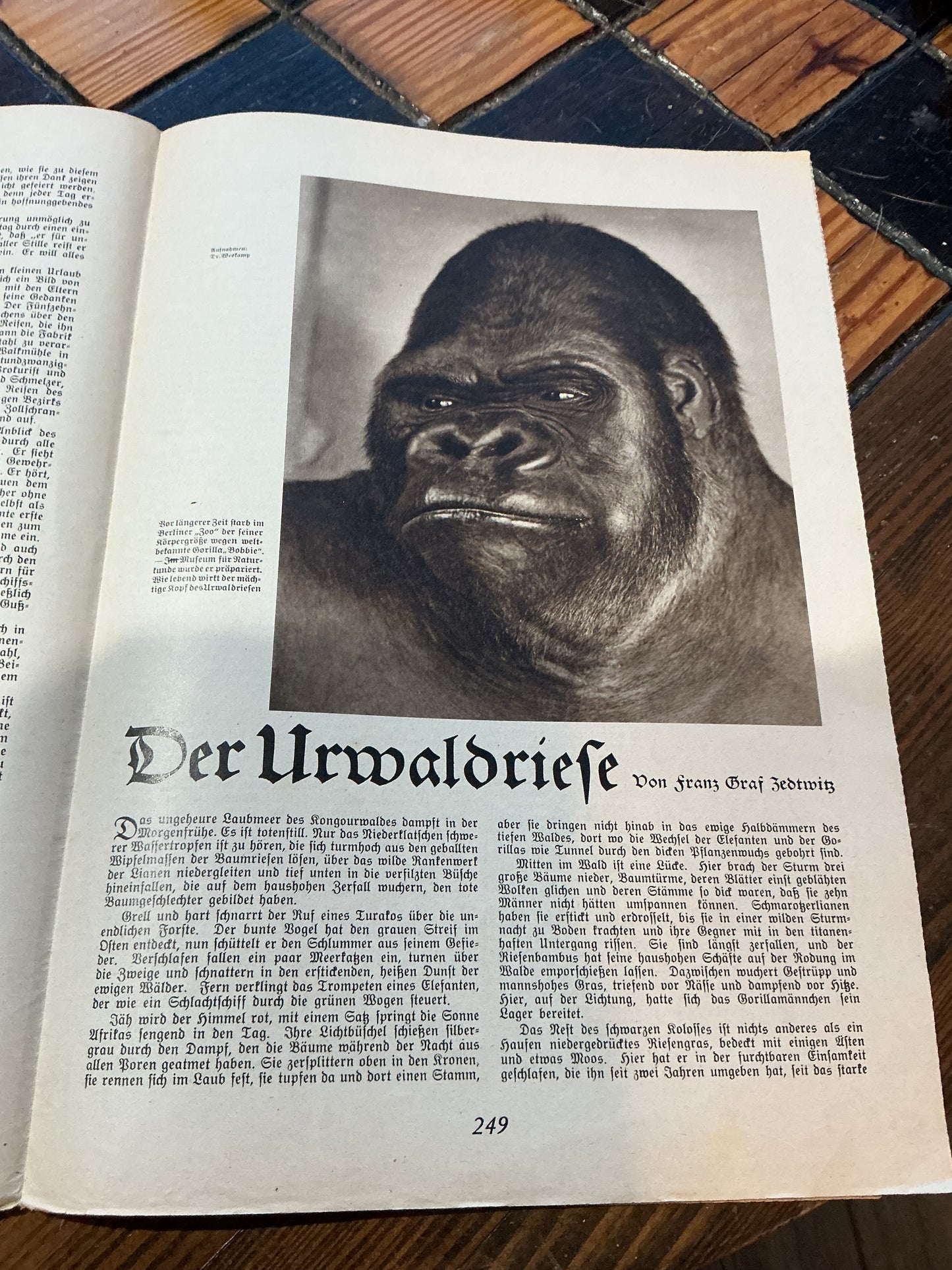 Hilf MIT illustrated German student newspaper No. 8-1937 Mai