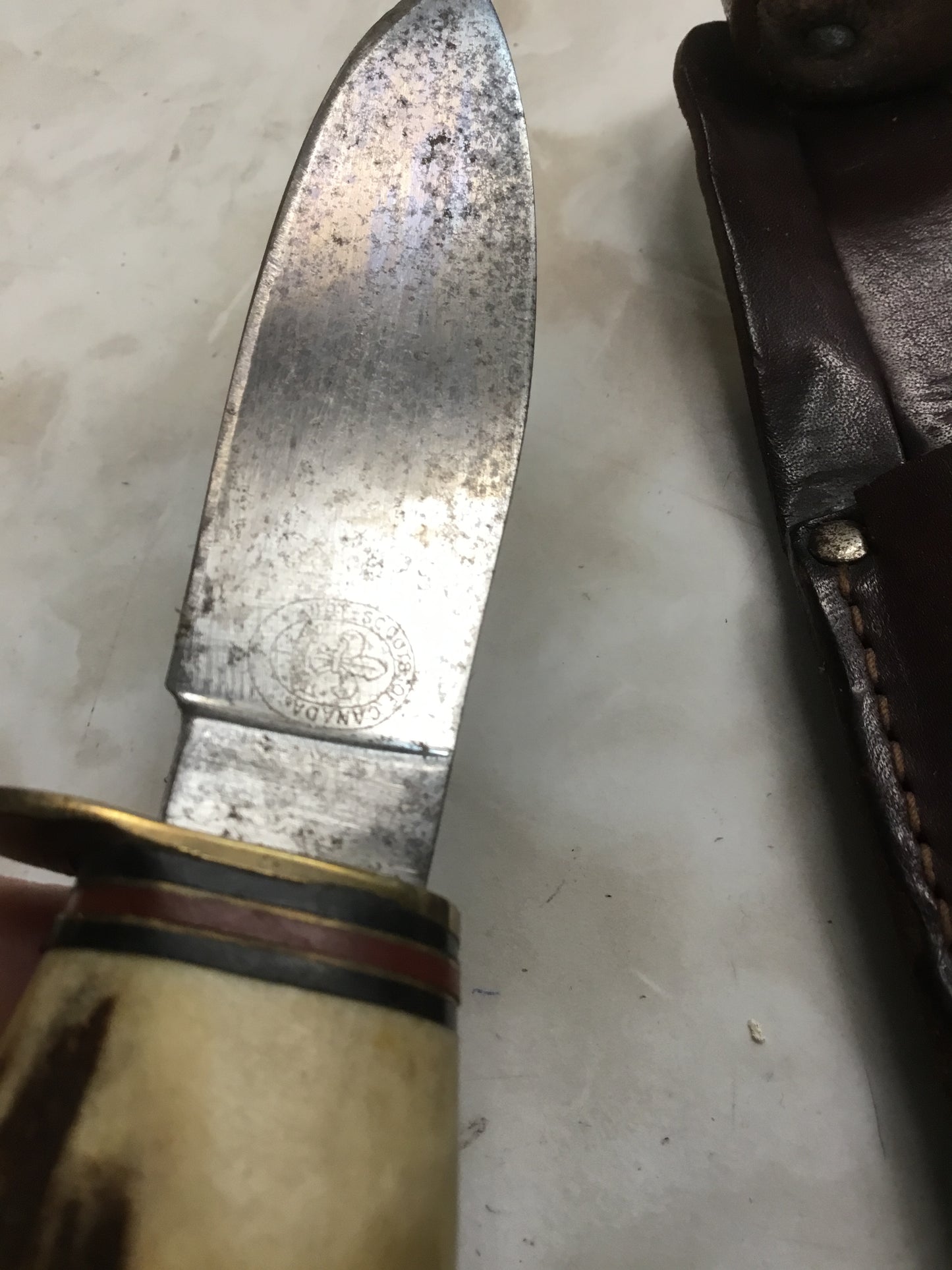 Early Fixed Scout Knife Bone Handle and Sheath