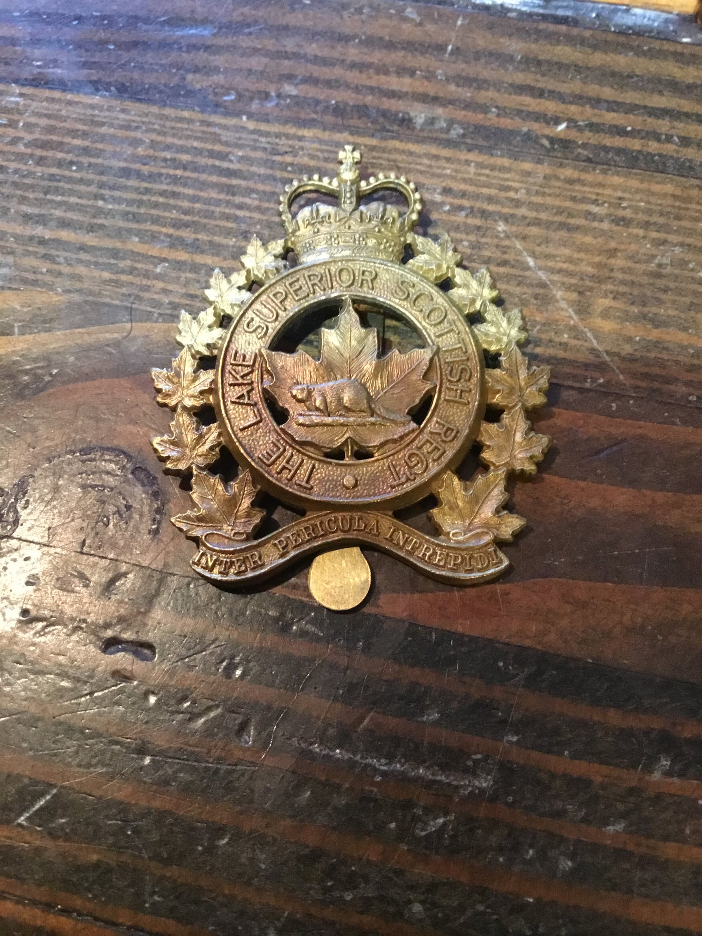Canadian LAKE SUPERIOR SCOTTISH REGIMENT CAP BADGE