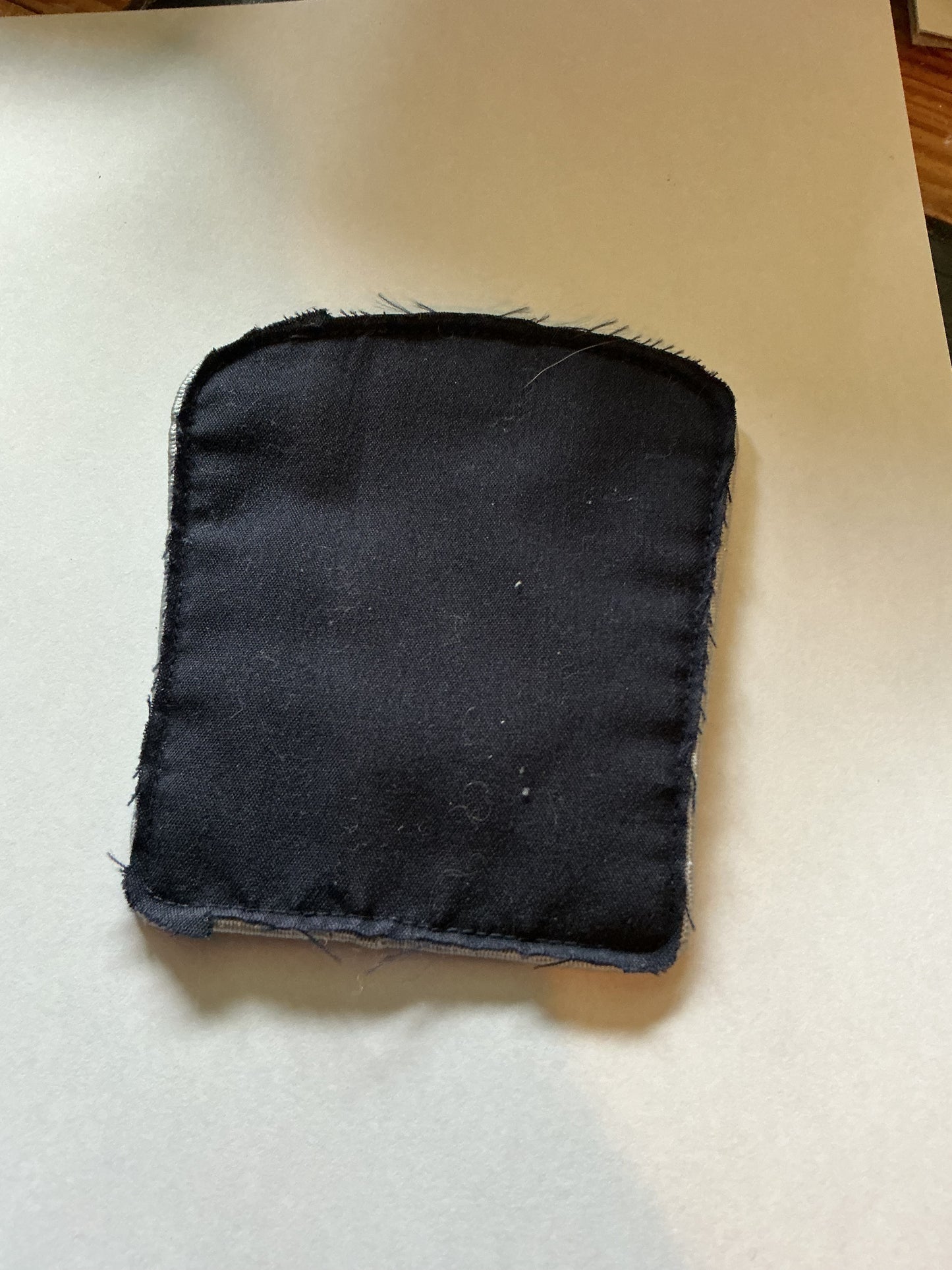 Canada Border Agency Services Shoulder Flash