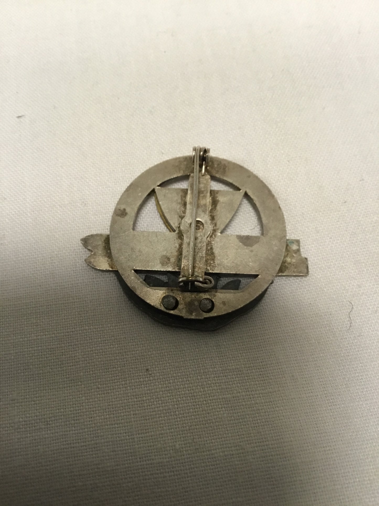 Austrian Ski School Badge Rauris