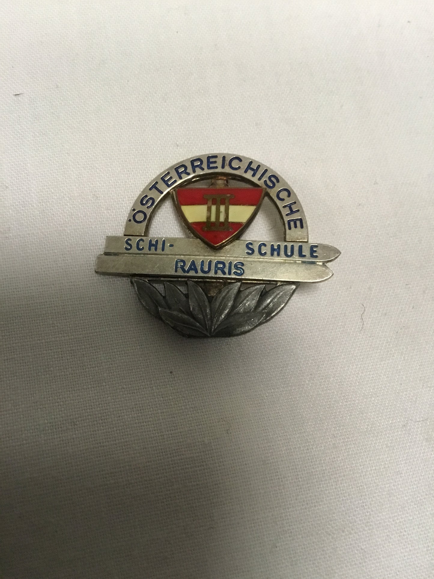 Austrian Ski School Badge Rauris