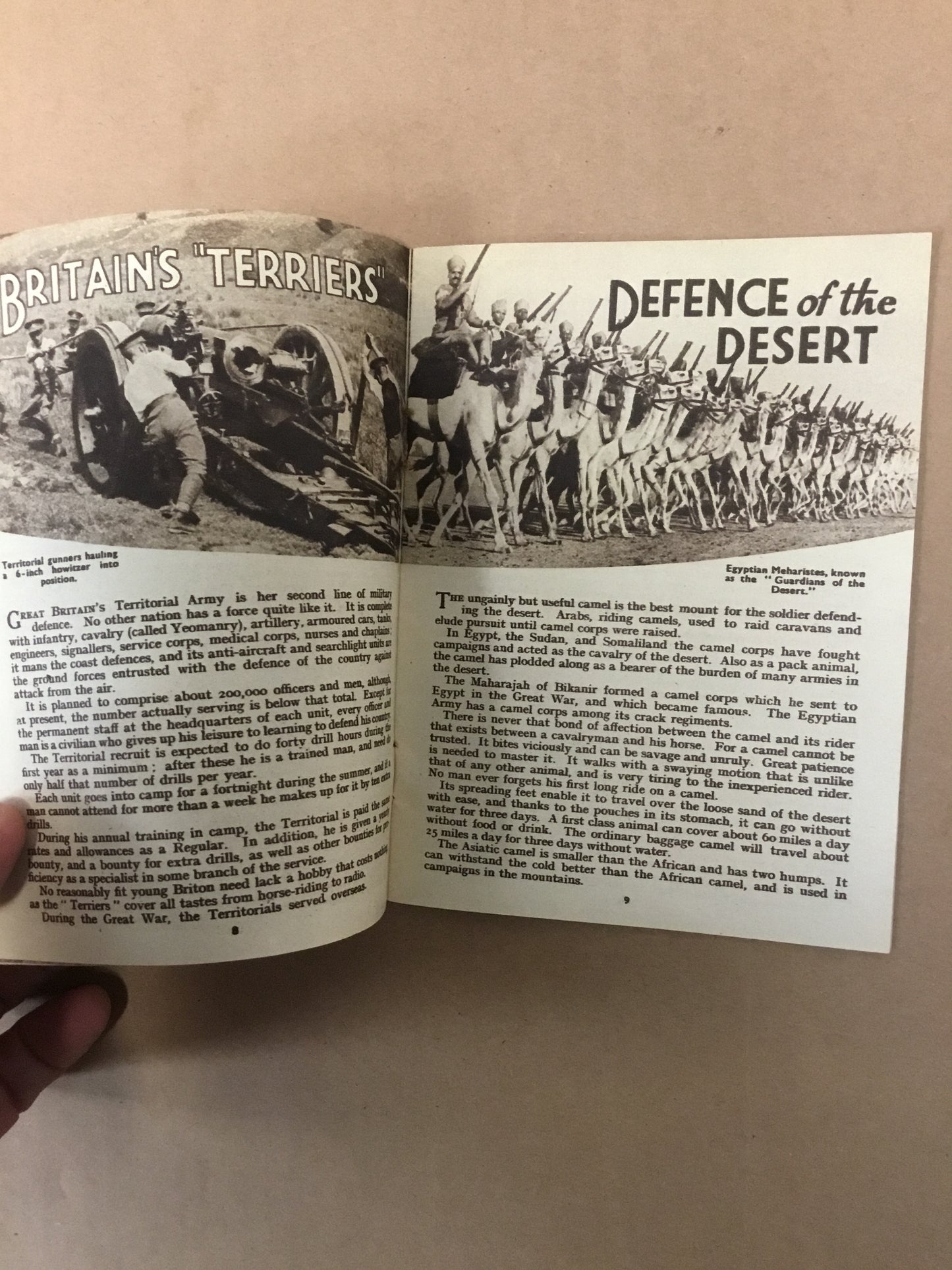 Anti - Aircraft and Special Corps Corps defence forces of the world No 4