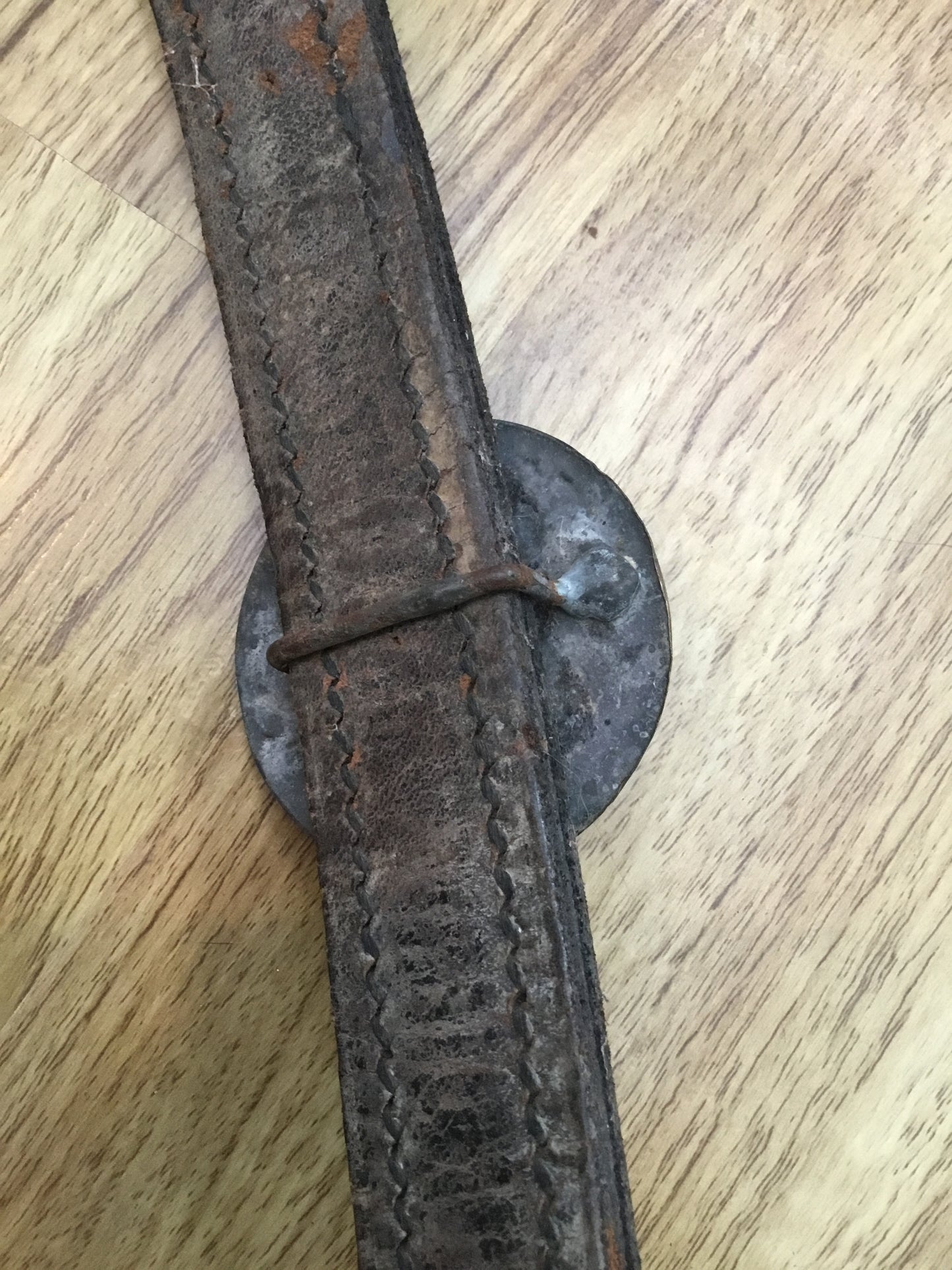 3 Antique HORSE BRIDLE ROSETTES