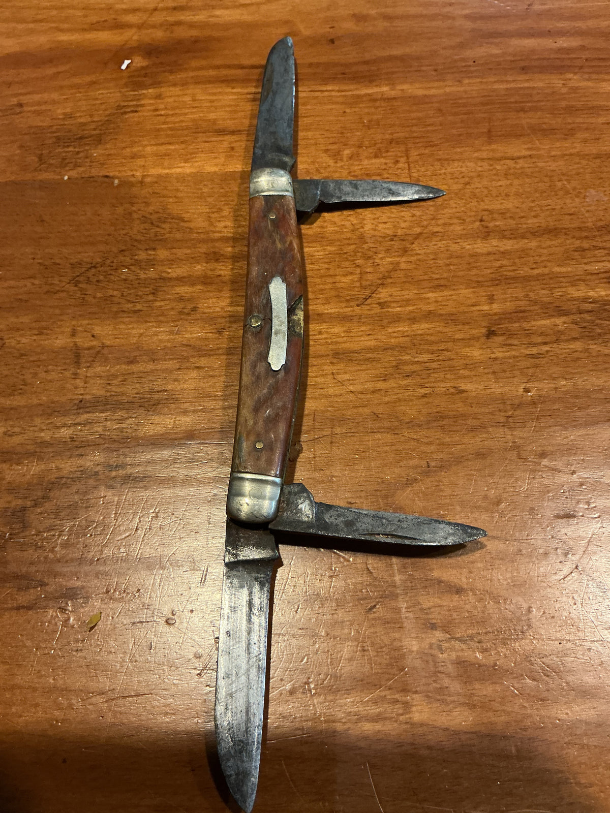 Early Folding pocket Knife Bone Handle 4 Blades