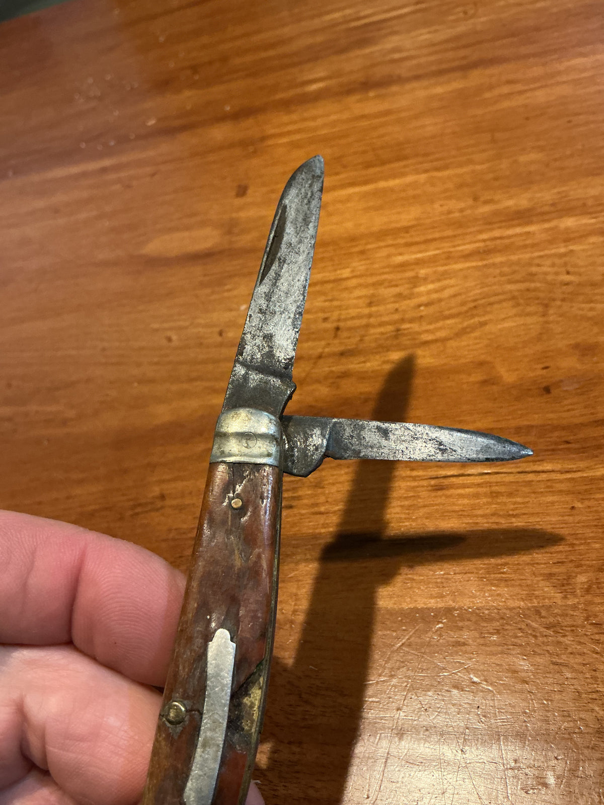 Early Folding pocket Knife Bone Handle 4 Blades