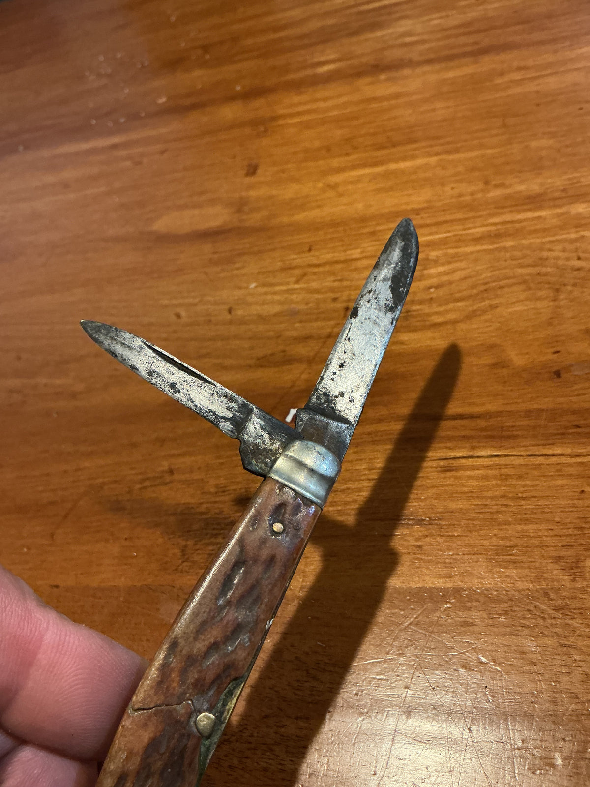 Early Folding pocket Knife Bone Handle 4 Blades
