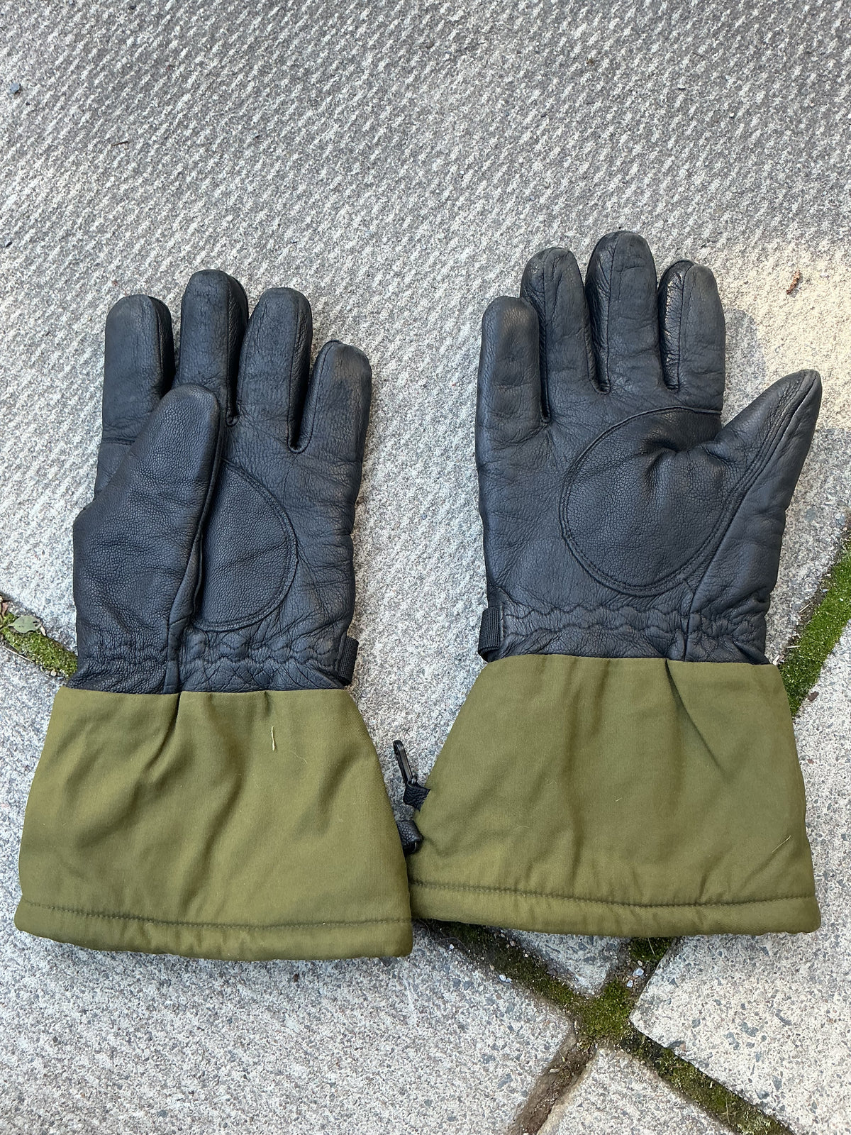 Canadian Forces Cold/ Wet Weather Gore- Tex Lined Gloves size  Large