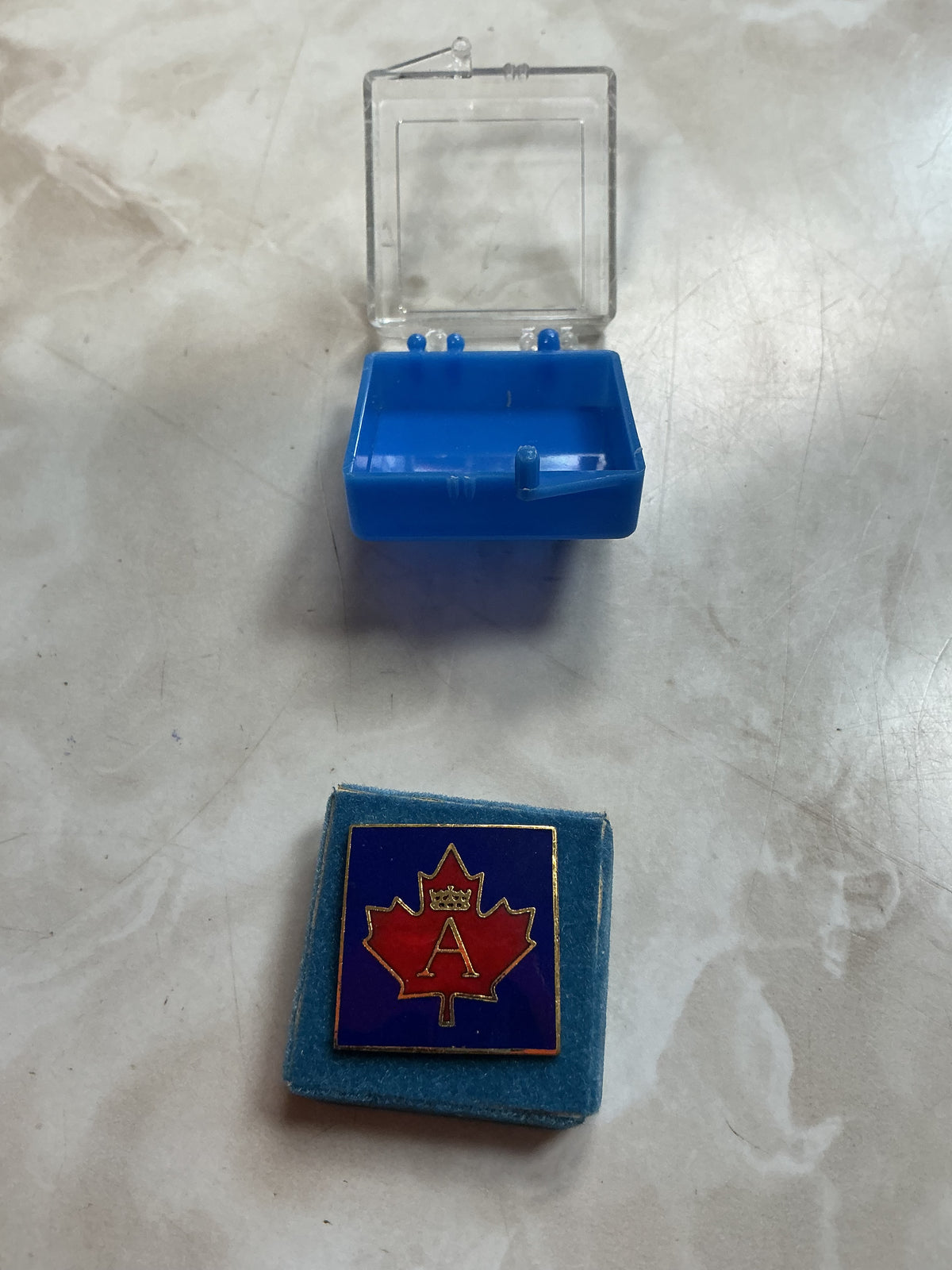 Badge/Pin  of Prince Andrew 1985 Event