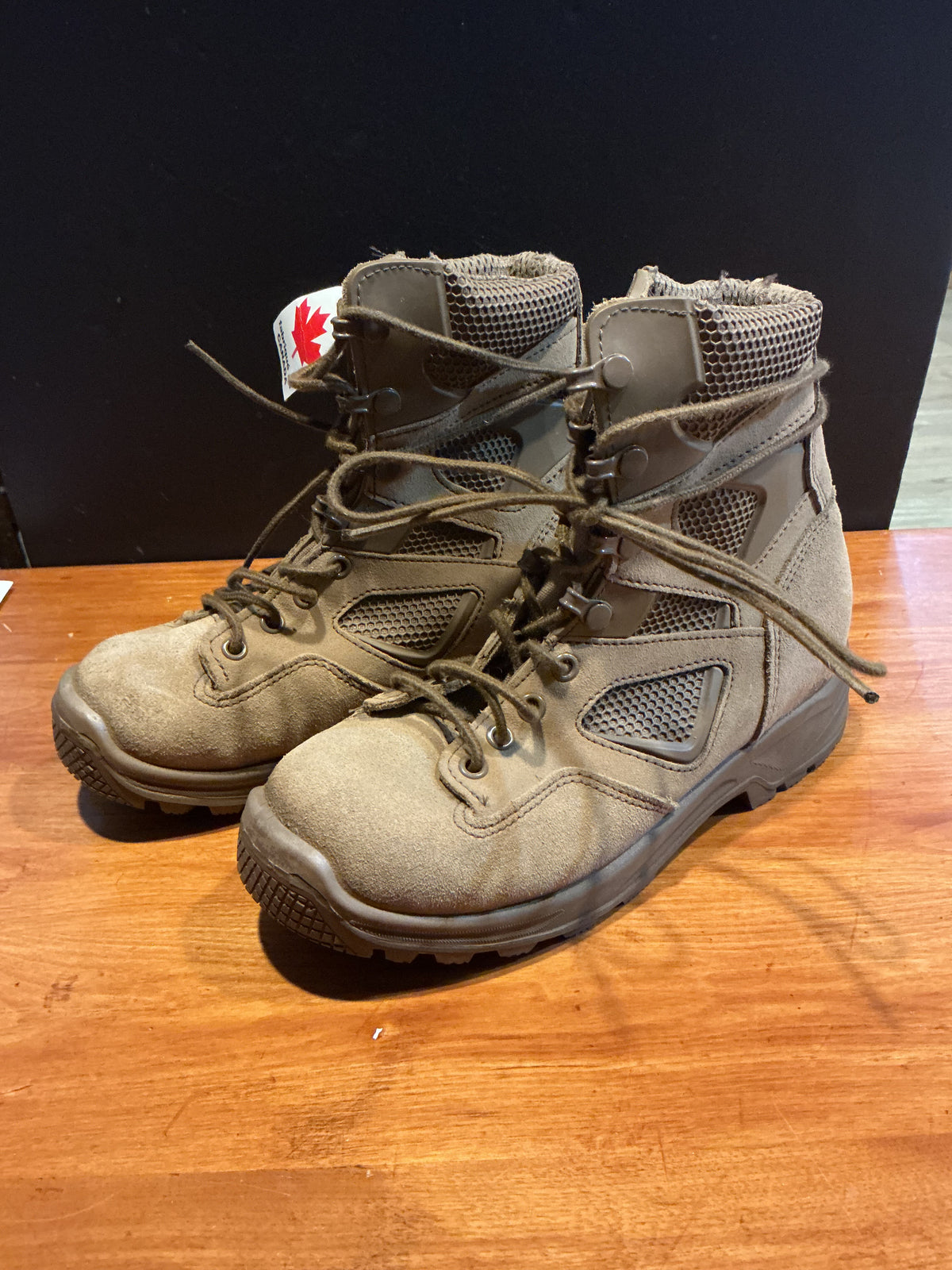 Terra ;Canadian Temperate Combat and Land Operation Boots Size 6.5