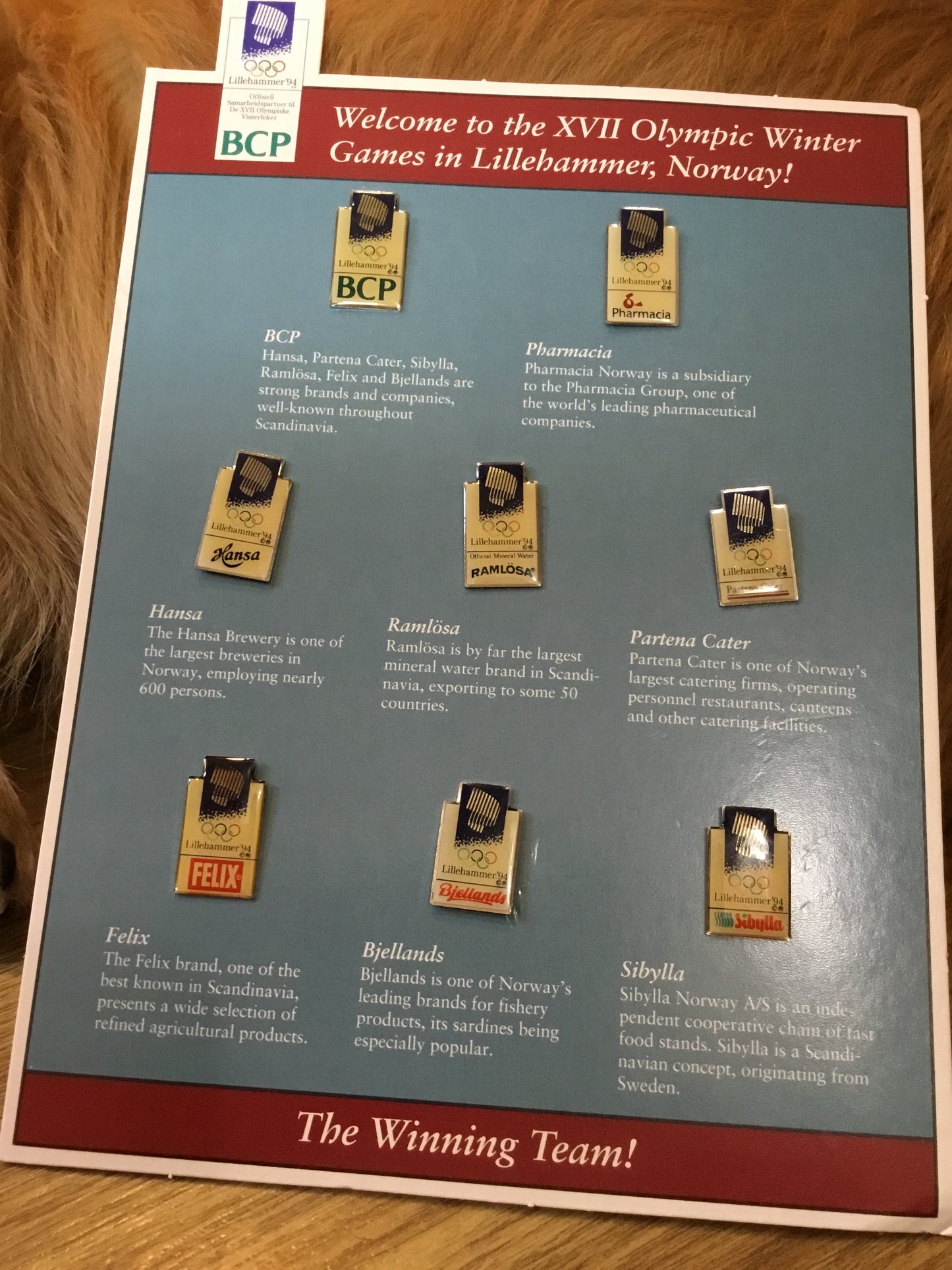 LILLEHAMMER 1994 OLYMPIC GAMES  - VENUE PINS complete set with 8 pins