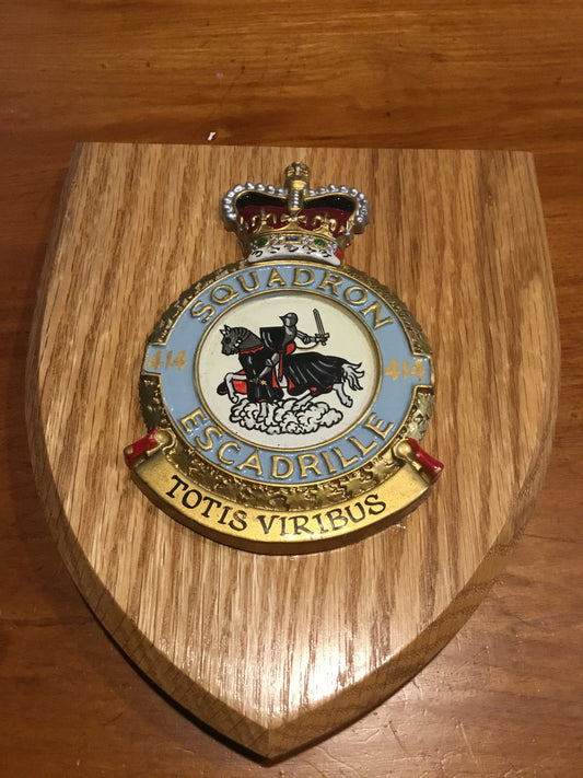 414 Electronic Warfare Support Squadron plaque