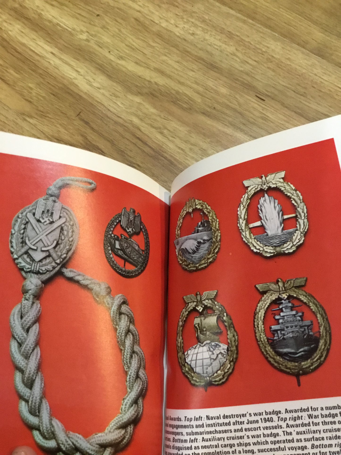 Nazi Regalia (Ballantine's illustrated history of the violent century) by Jack Pia
