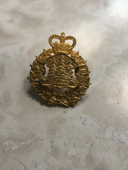 Canadian department of natural resources hat Badge