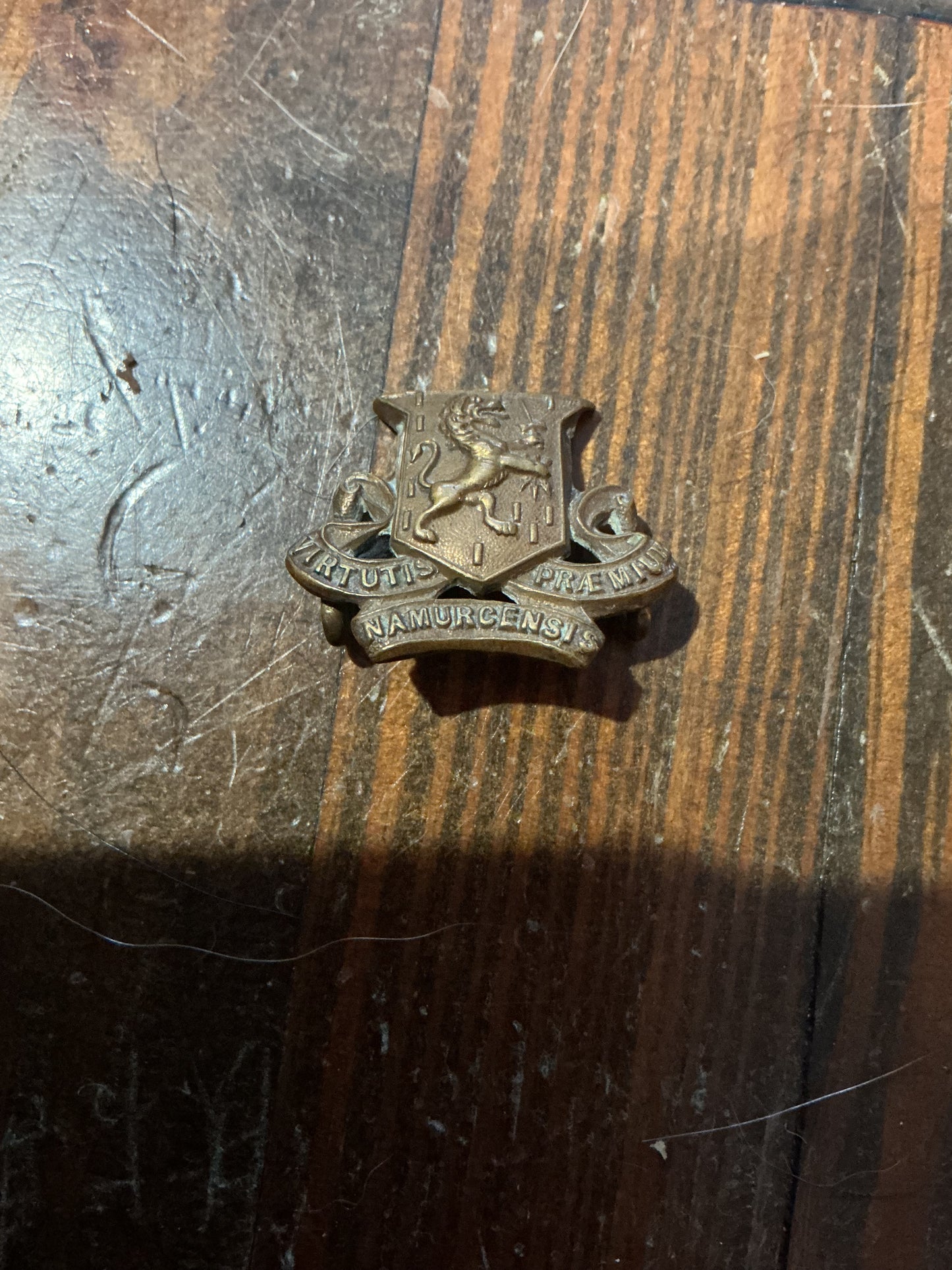 Royal Irish Regiment Collar Badge