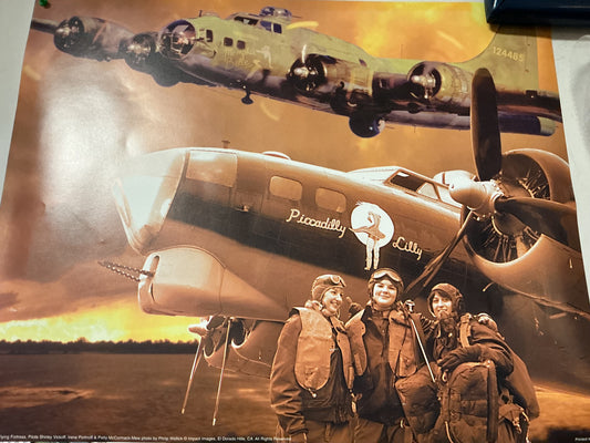 New Piccadilly Lilly Bomber Poster