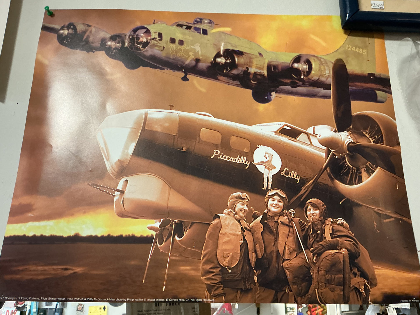 New Piccadilly Lilly Bomber Poster