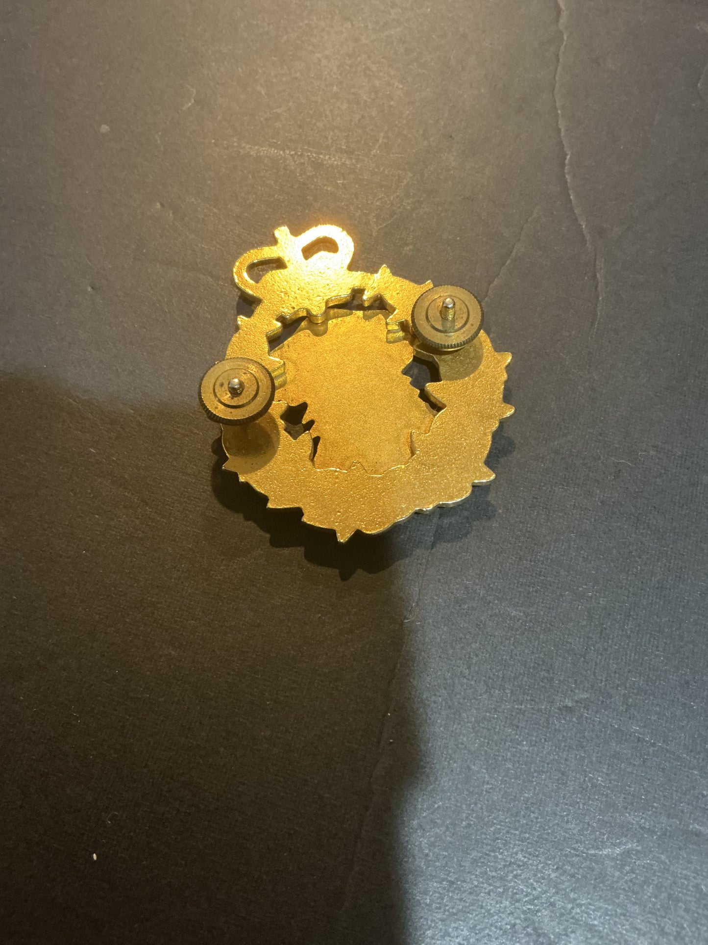 Canadian Dept. Natural Resources Hat Badge