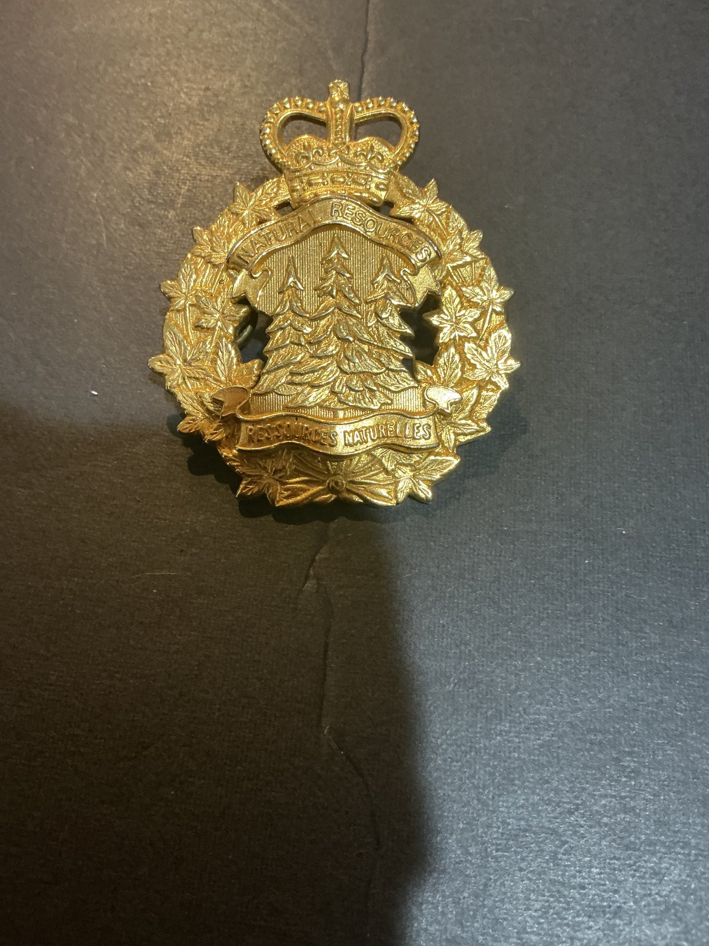 Canadian Dept. Natural Resources Hat Badge