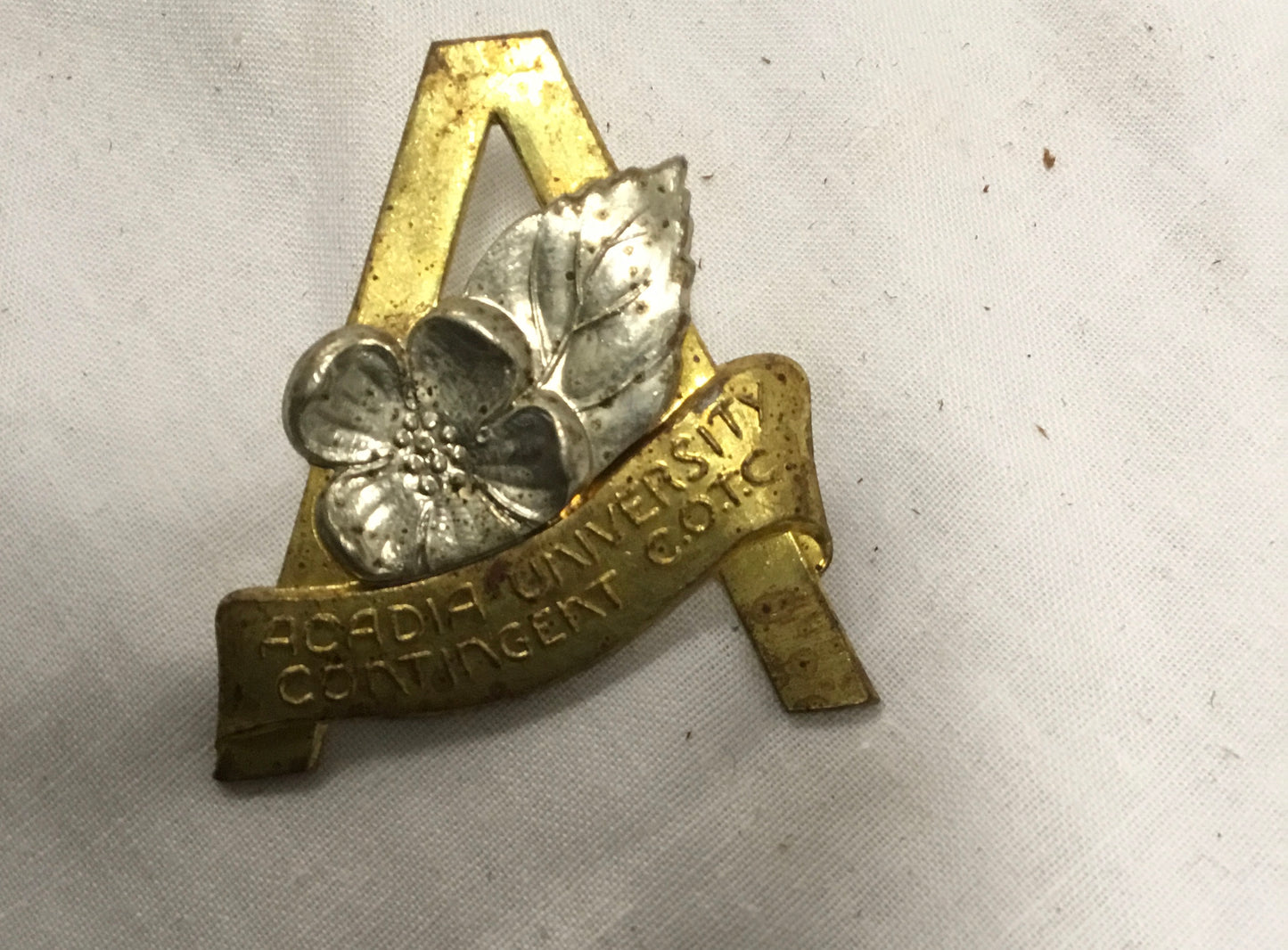 Canadian Acadia University COTC Canadian Officer Training Corps Cap Badge