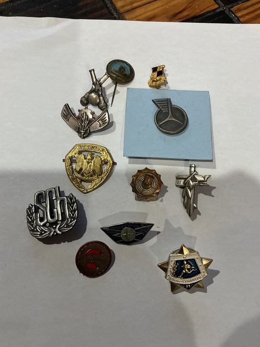 Lot of 12 European Military Pins