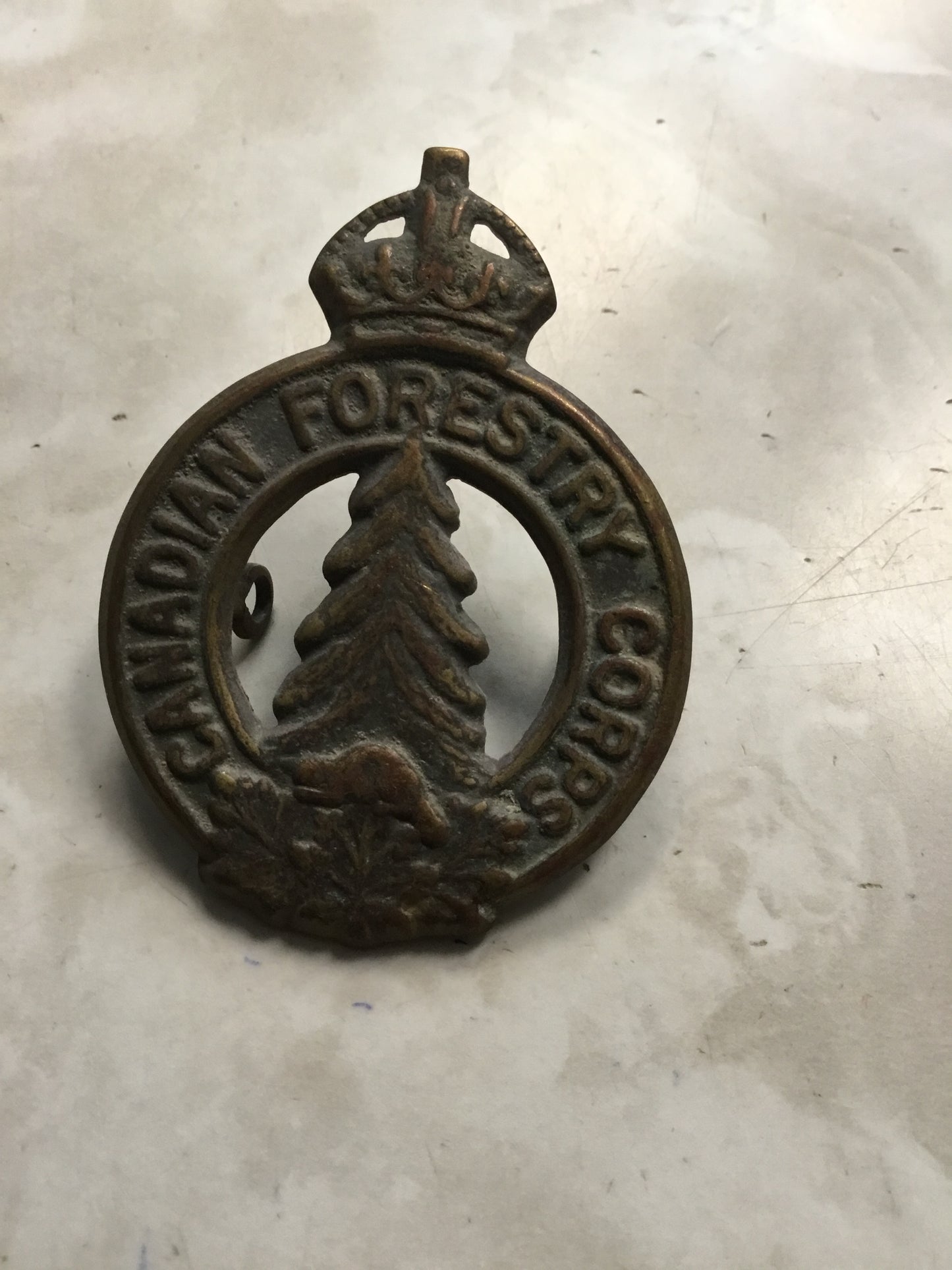 WW11 Canadian Forestry Corps cap badge.