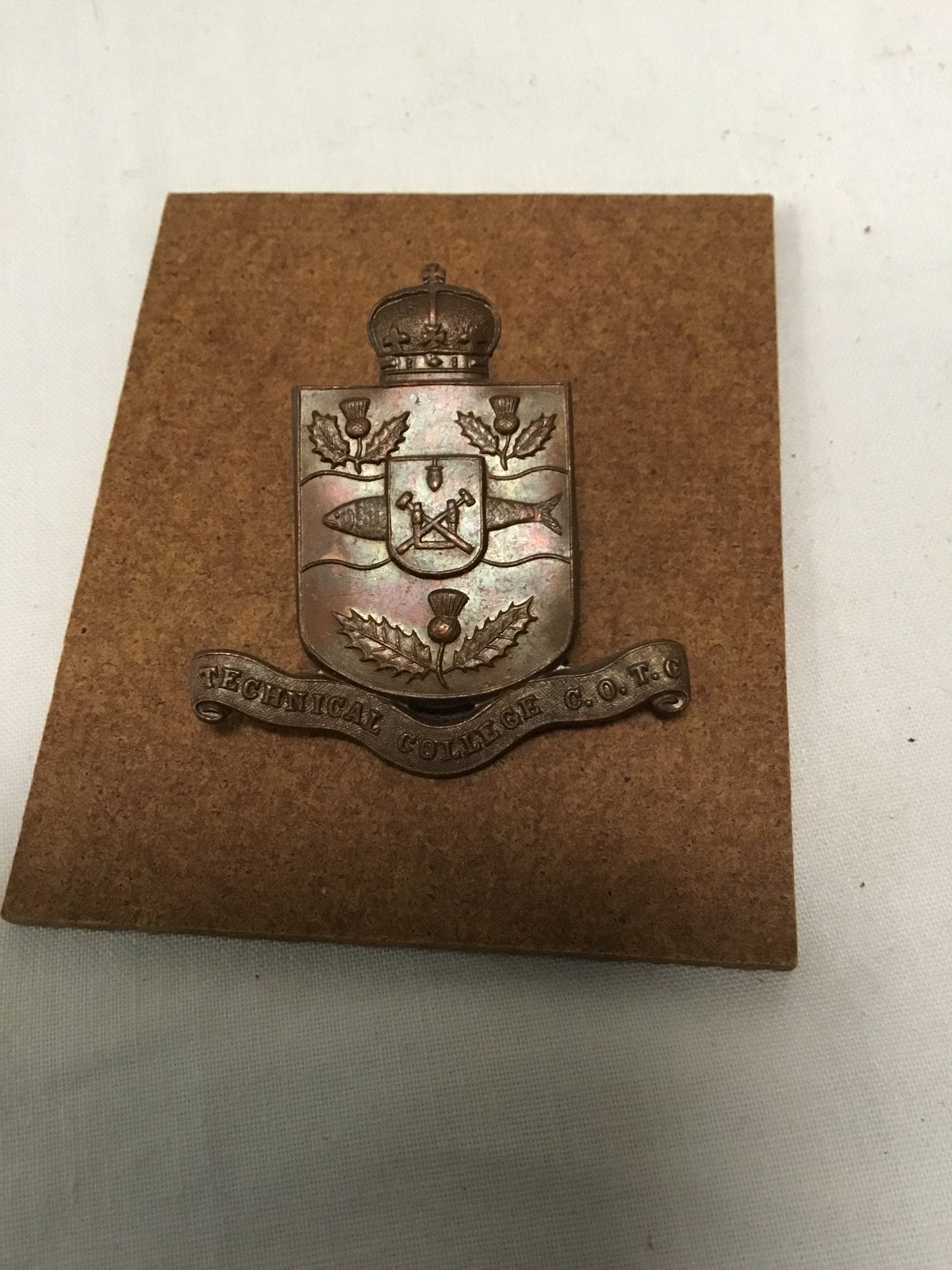 COTC Nova Scotia Technical College Cap Badge