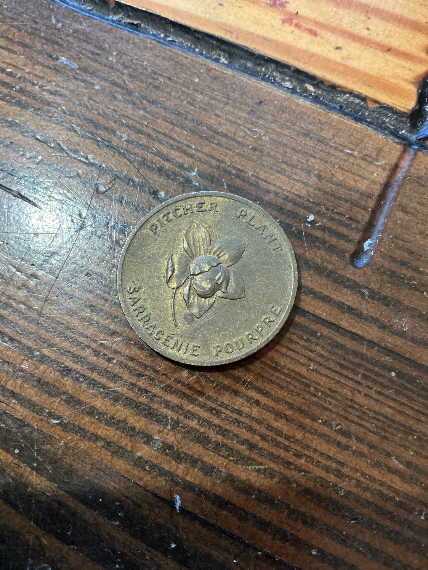 Provincial Flower and Coats of Arms Newfoundland  Coin