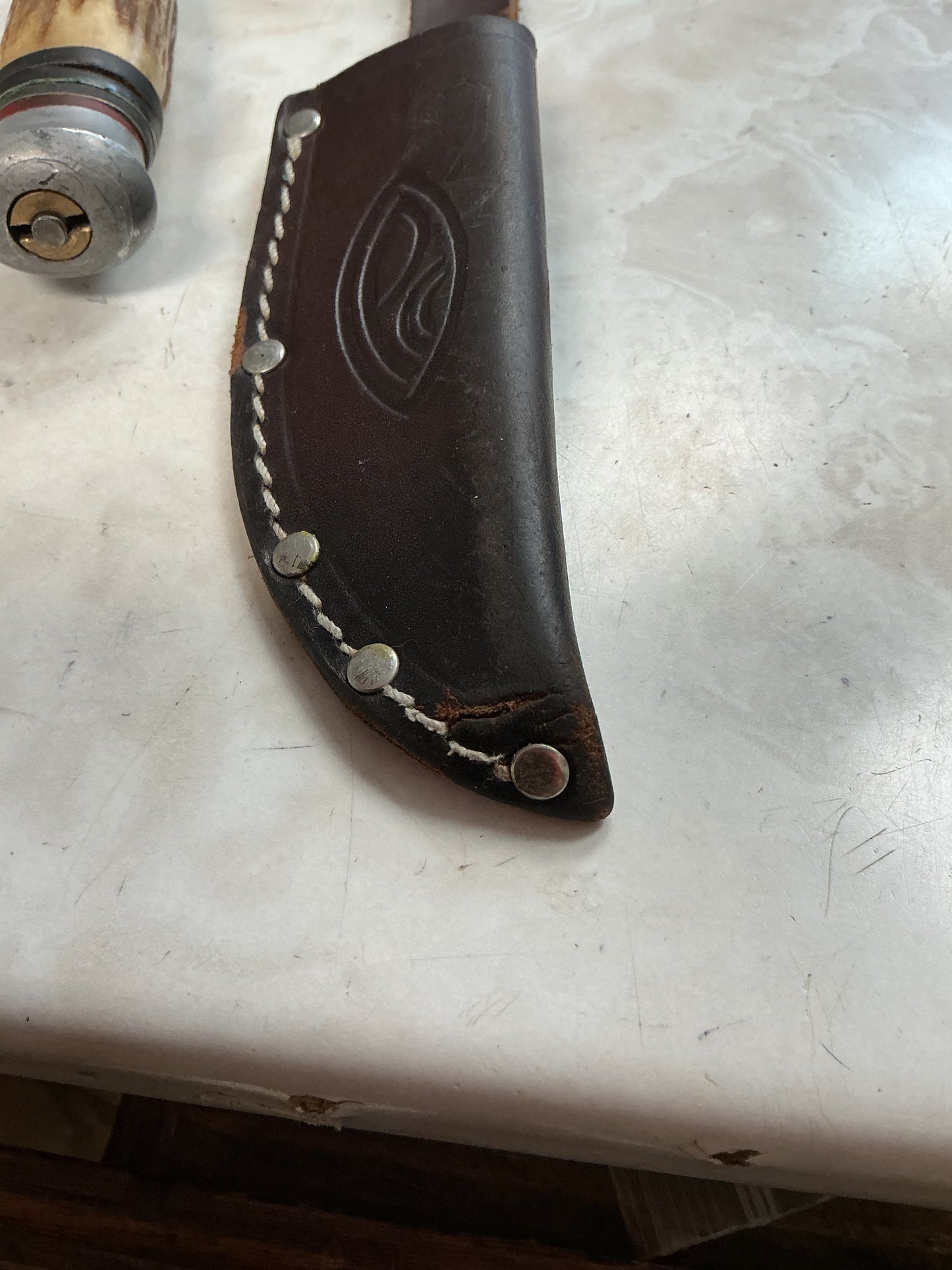 Bone Handle Solingen German Made Belt Knife