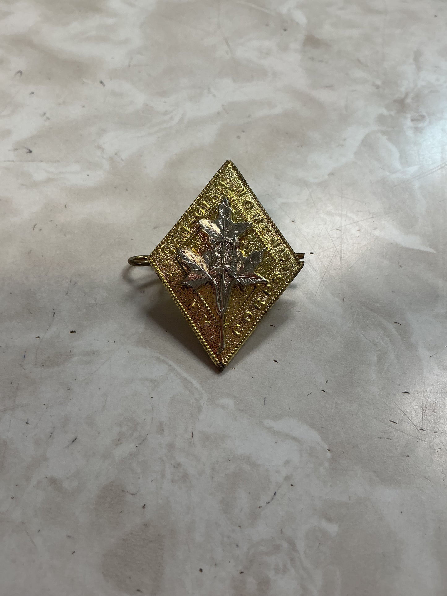 Canadian Women's Army Corps Cap Badge , lugs on the back with cotter pin