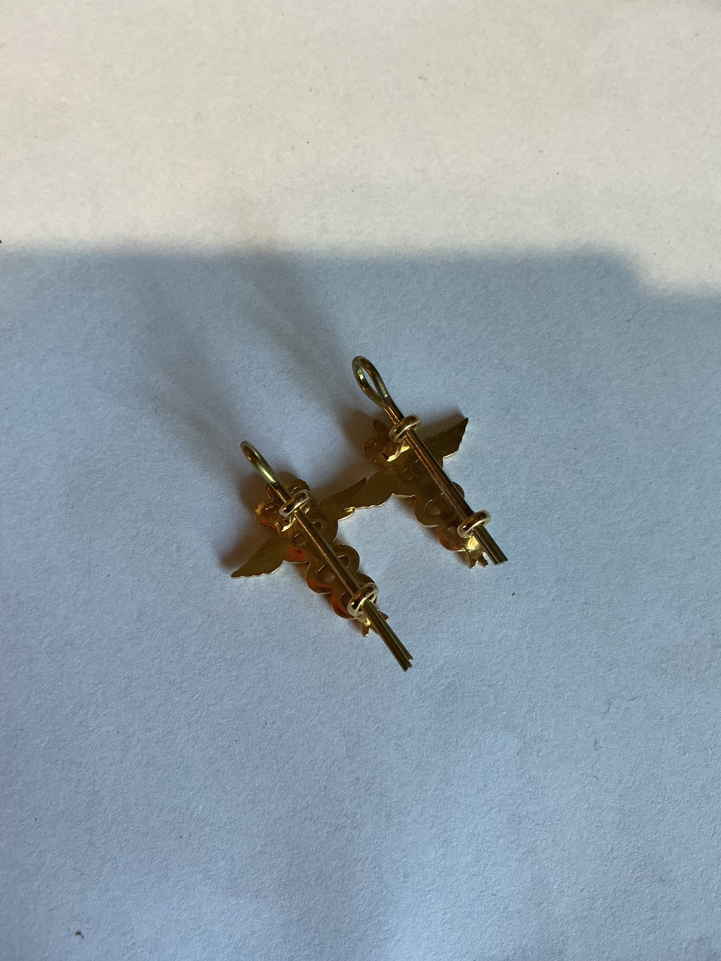 Pair Royal Air Force RAF Medical Services Corps Collar Badges
