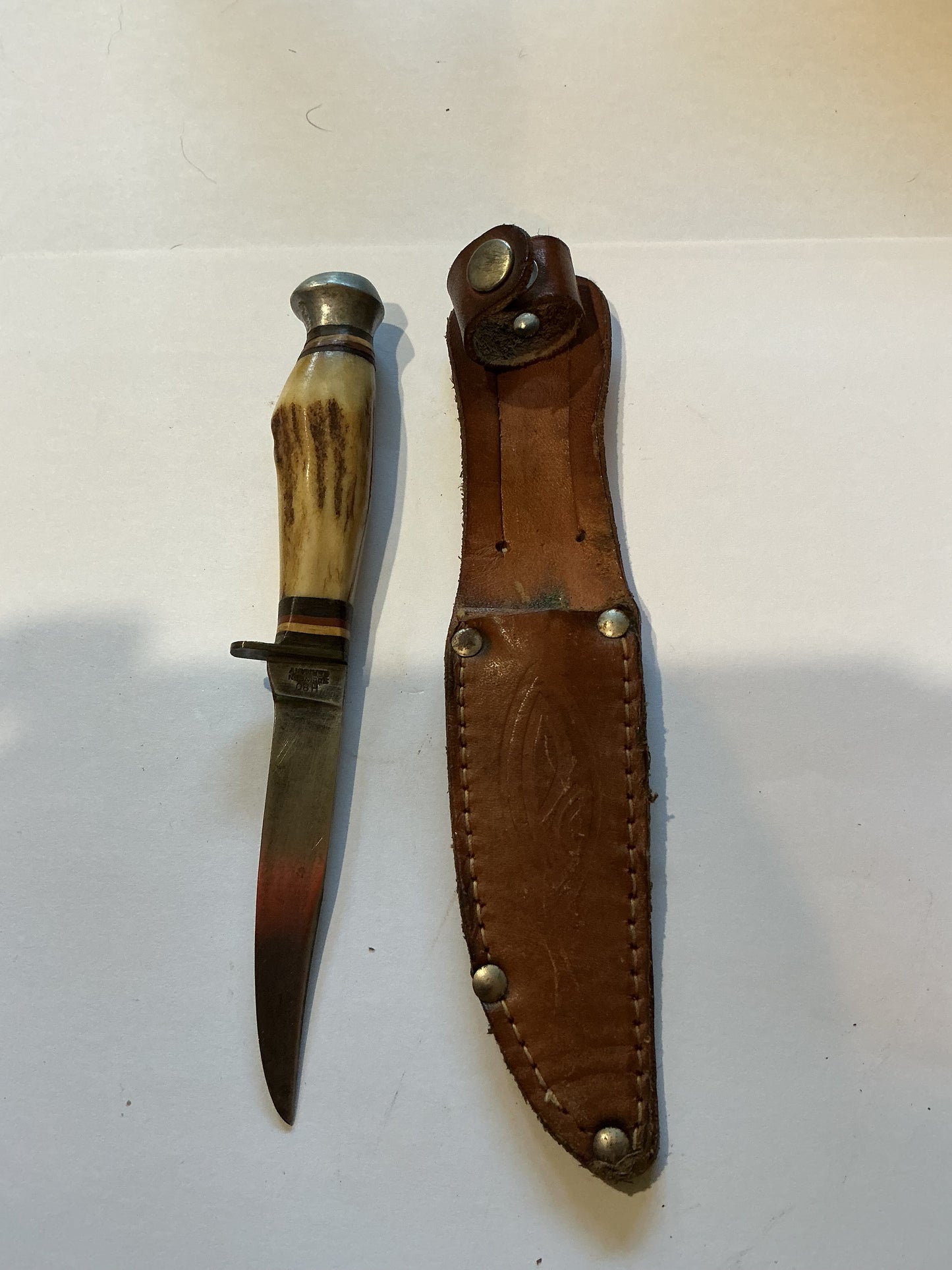 Small Bone Handle Premier Hunting/Fish Knife Germany