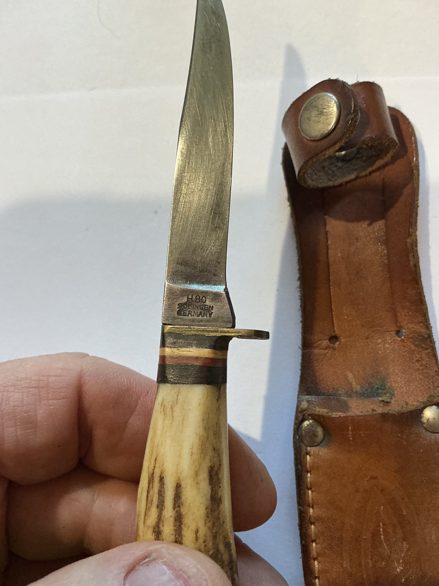 Small Bone Handle Premier Hunting/Fish Knife Germany