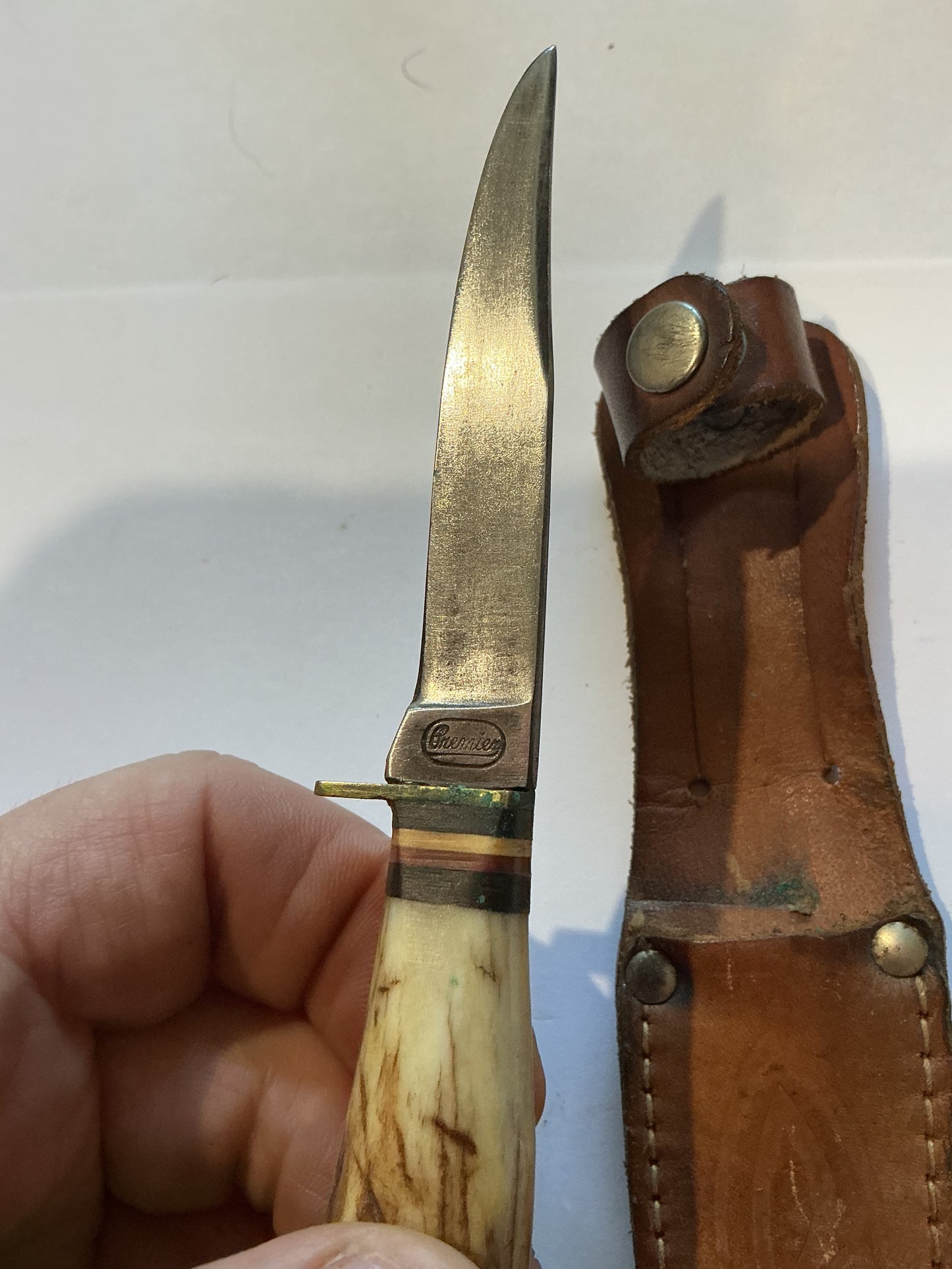 Small Bone Handle Premier Hunting/Fish Knife Germany