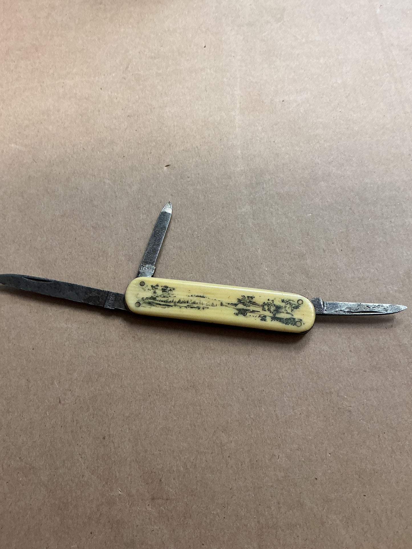 Small 3 Blade Pocket Knife French Ivory Handle Solingen