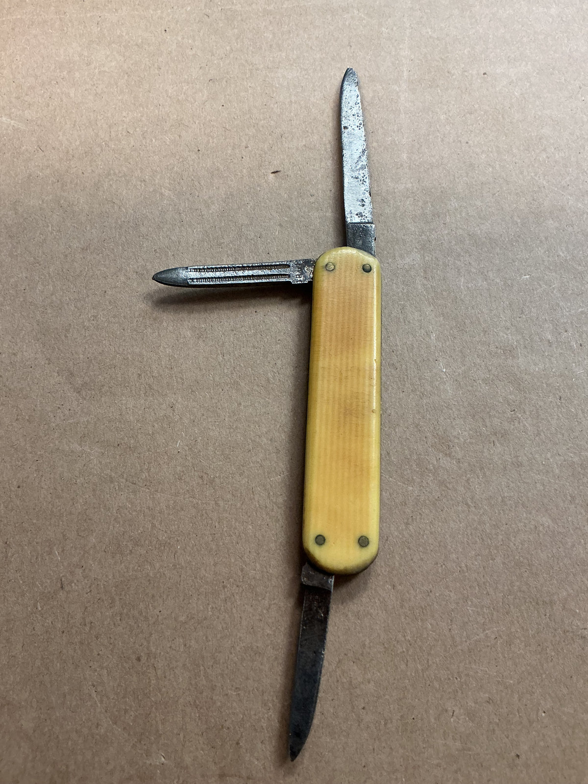 Small 3 Blade Pocket Knife French Ivory Handle Solingen