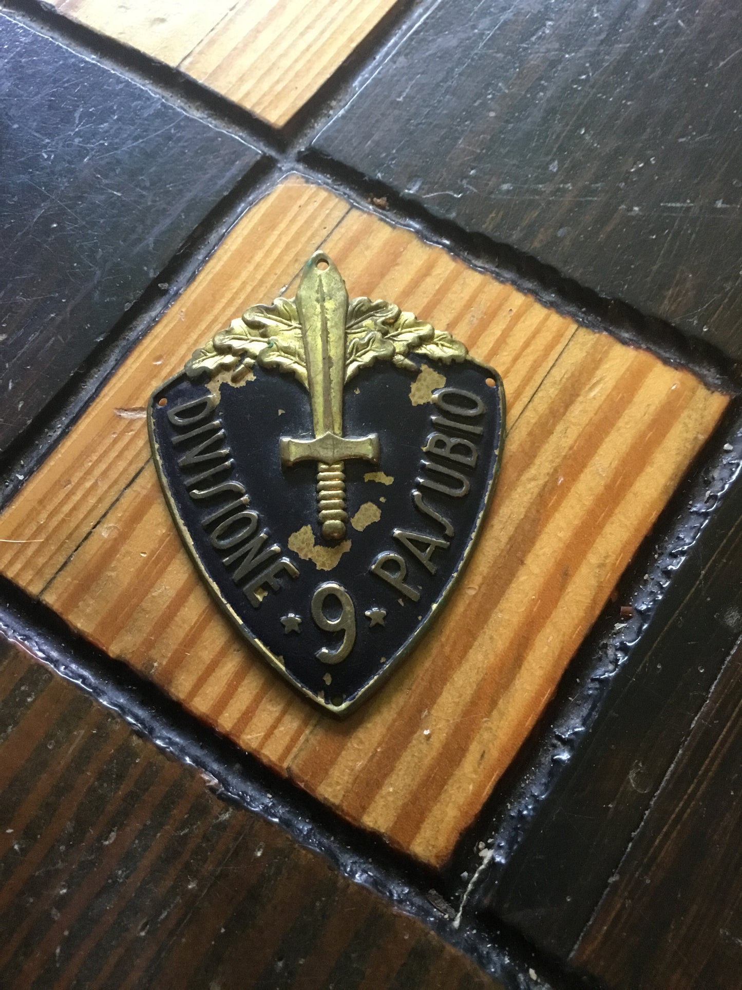 WW 11 Italian Military insignia badge Divisione 9 Pasubio Italian