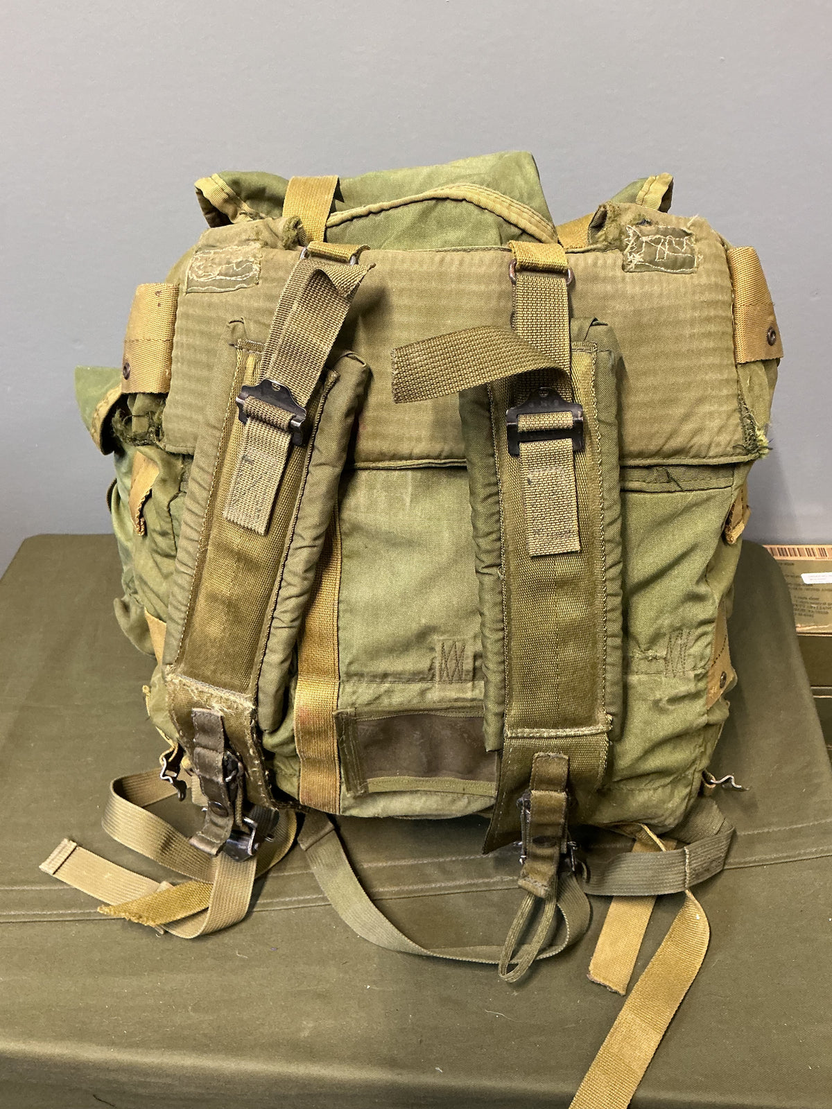 U.S. Military Alice Pack with straps Medium Size